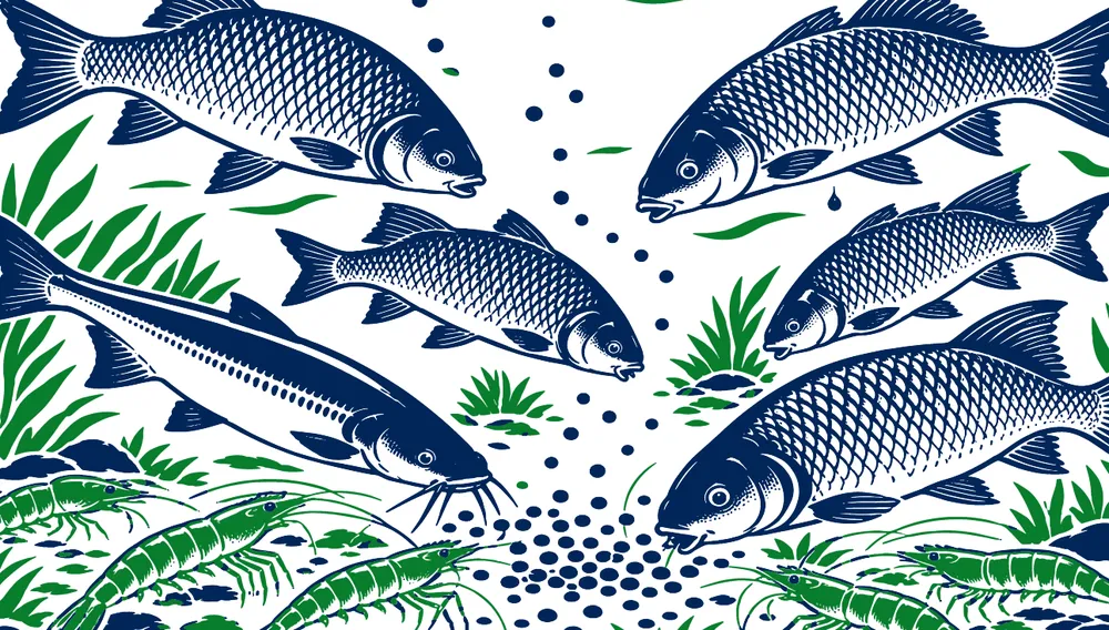 Illustration of fish and prawns feeding